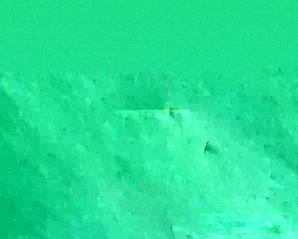 现金真人官网入口在哪里查询最安全可靠指南分享与平台选择技巧版